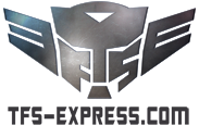 tfs-express